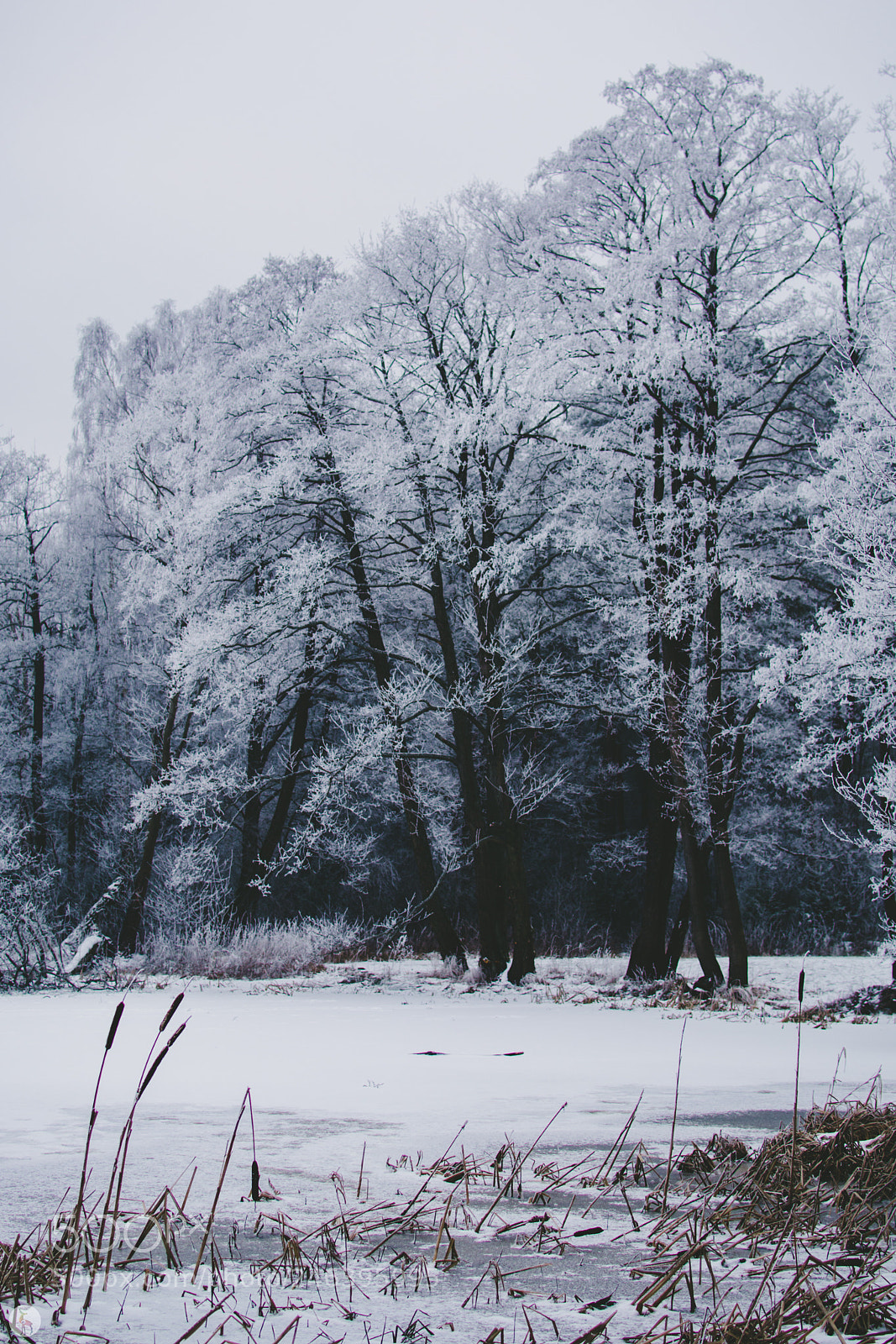 Nikon D7100 sample photo. Winter landscape photography