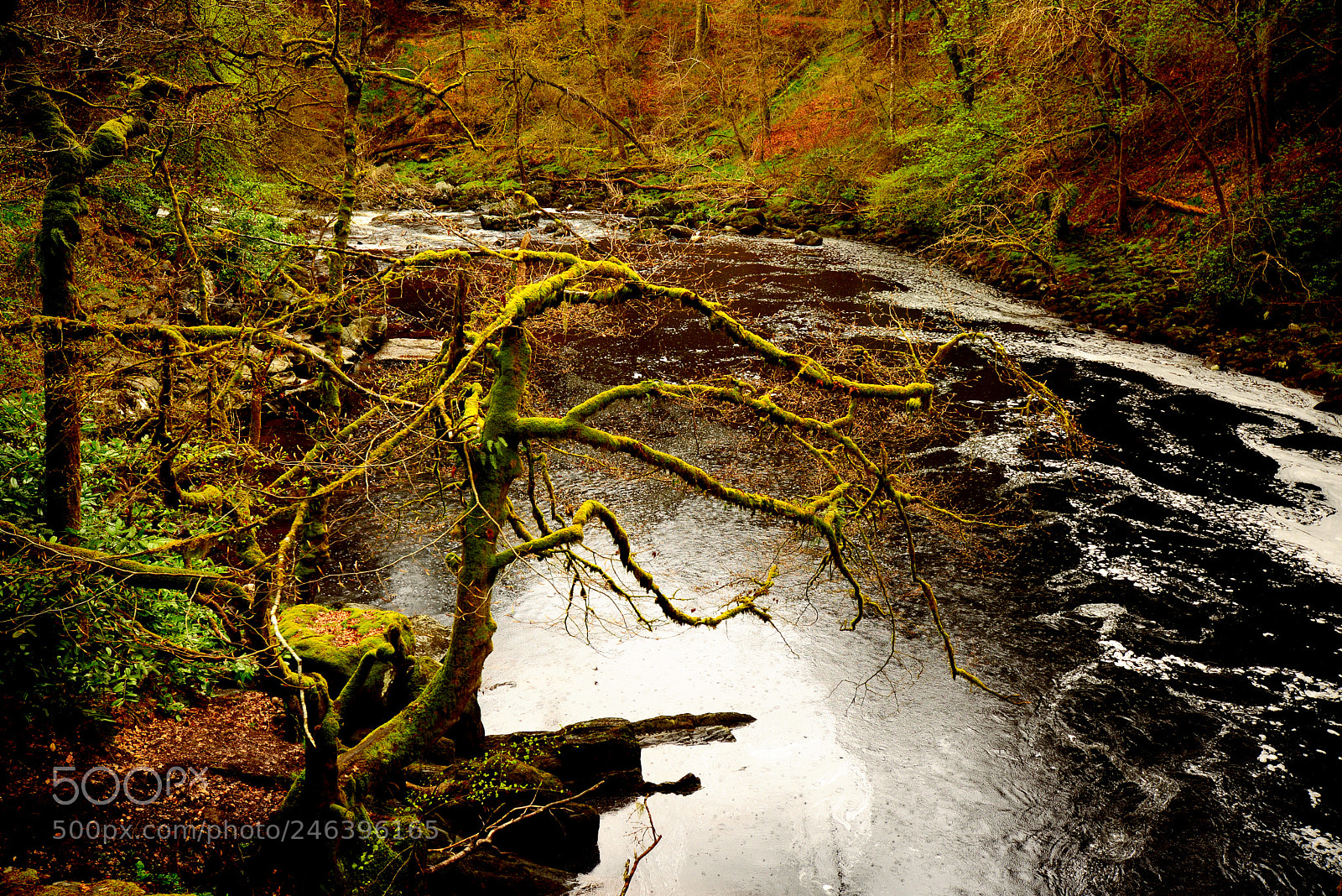 Nikon D600 sample photo. Highland secret photography