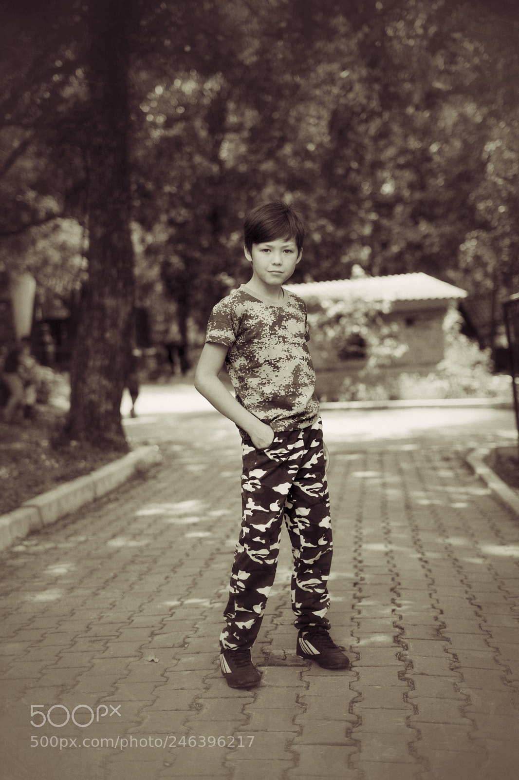 Sony a7 sample photo. Untitled photography