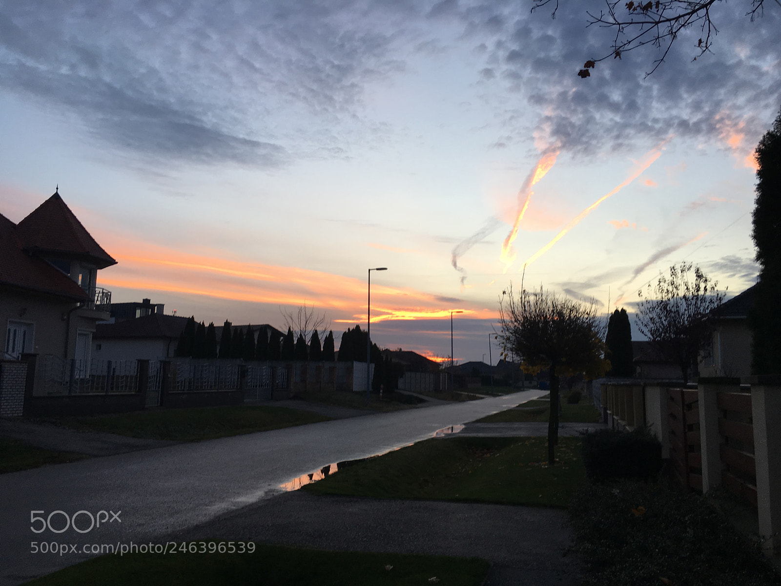 Apple iPhone 6s sample photo. Untitled photography