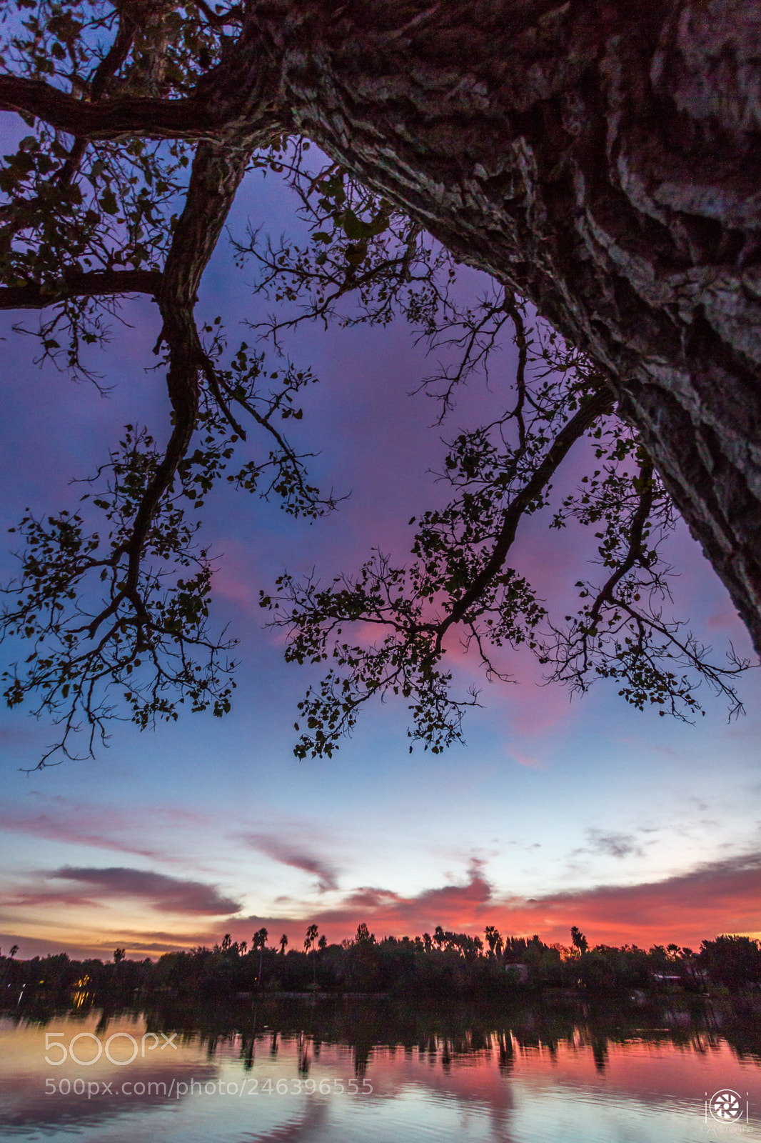 Canon EOS 7D sample photo. By dawn's early light photography