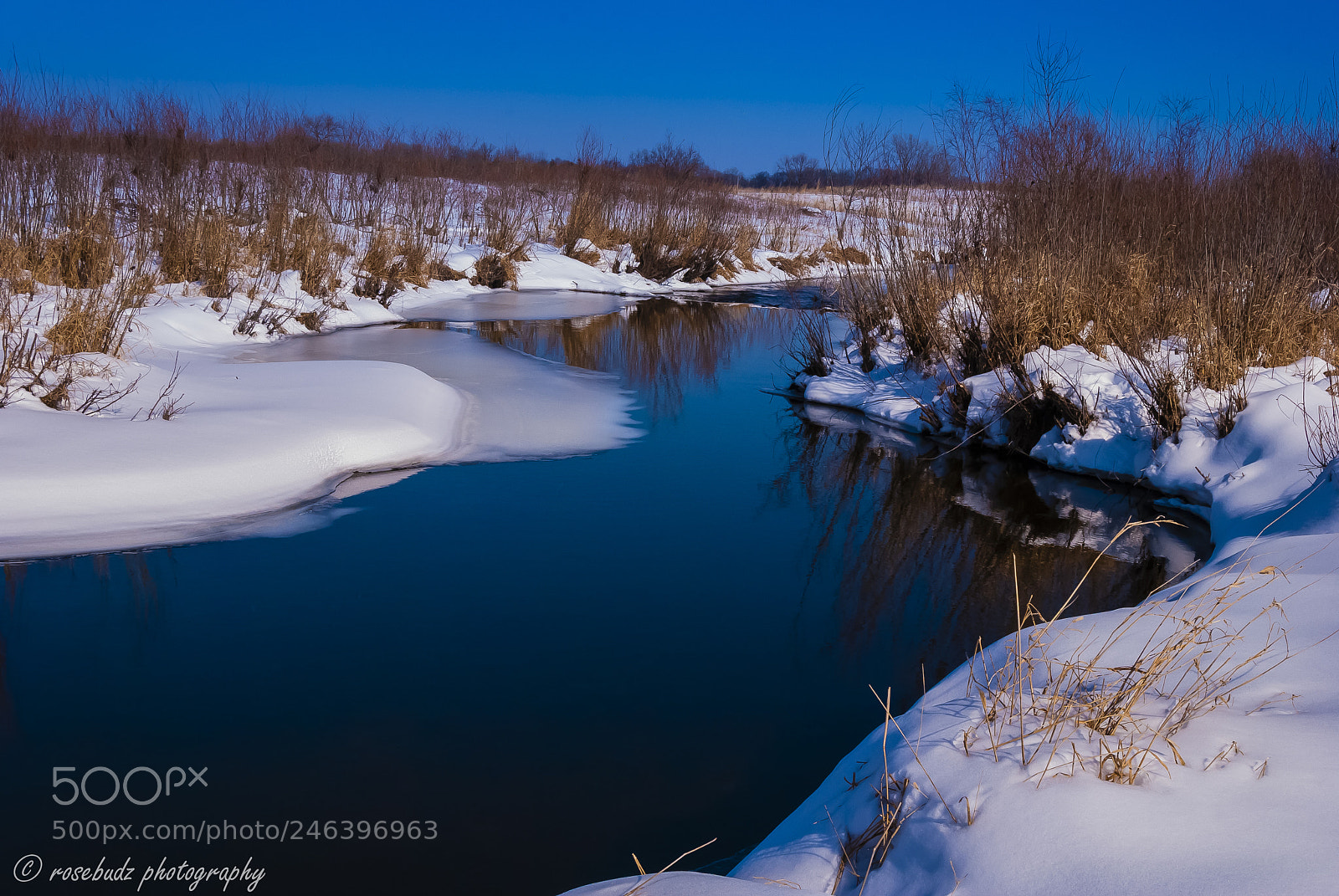 Nikon D60 sample photo. Winter stream photography