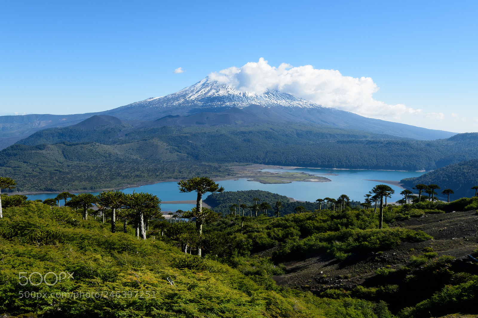 Nikon D810 sample photo. Congui photography