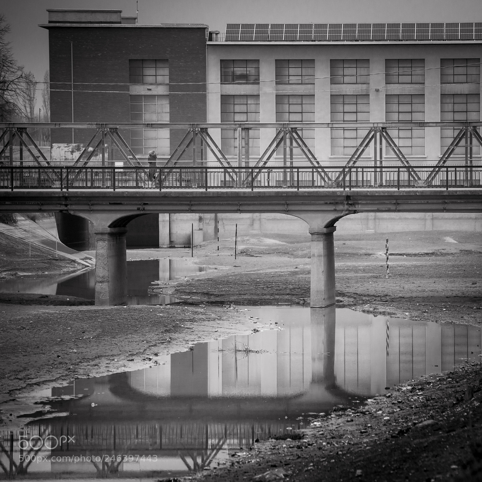 Nikon D610 sample photo. Reflections photography