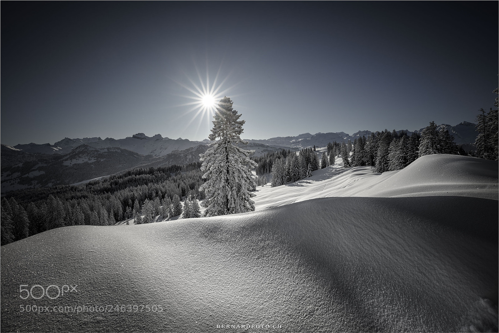 Canon EOS 5DS R sample photo. Winterlandschaft photography