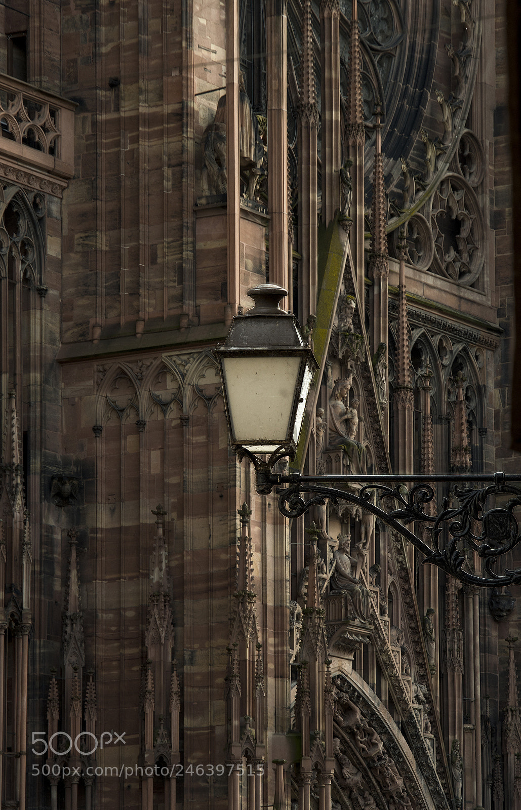Nikon D500 sample photo. Strasbourg details - 1 photography