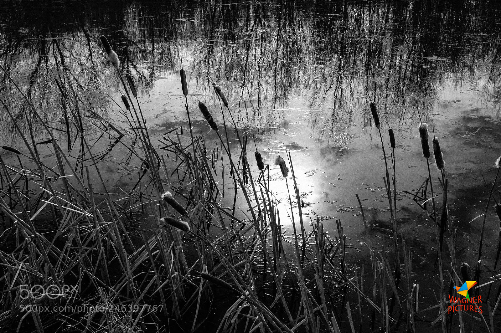 Fujifilm X-T2 sample photo. Urban lake photography