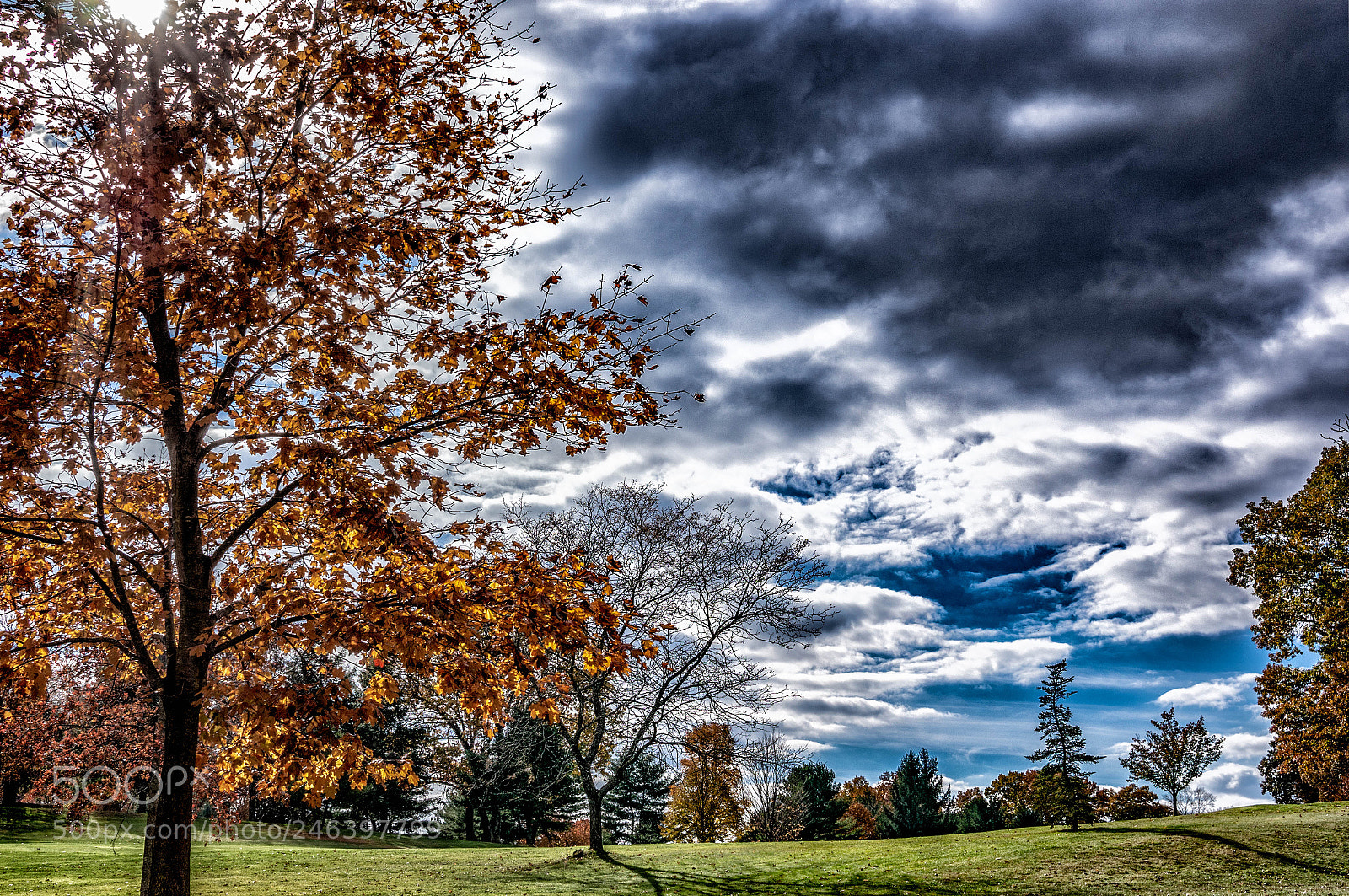 Sony Alpha NEX-6 sample photo. Timberlin blue sky photography
