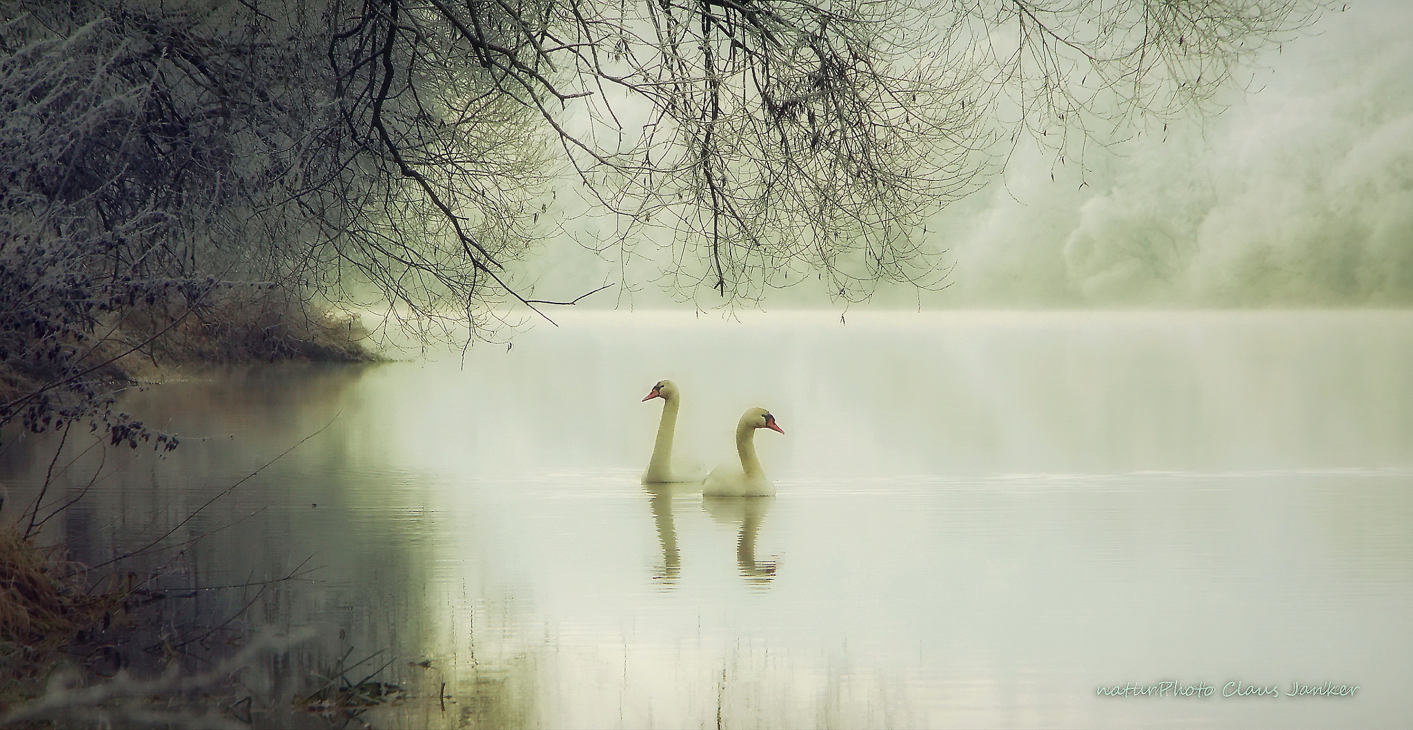 Canon EOS 600D (Rebel EOS T3i / EOS Kiss X5) sample photo. Schwanensee photography