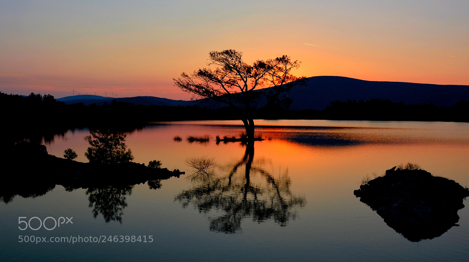 Nikon D7100 sample photo. Tree-sunset photography