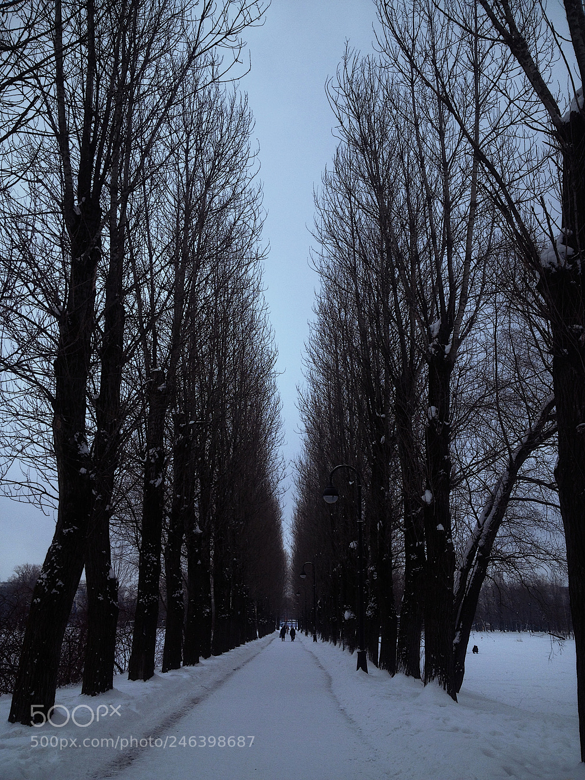 Apple iPhone 4S sample photo. Untitled photography