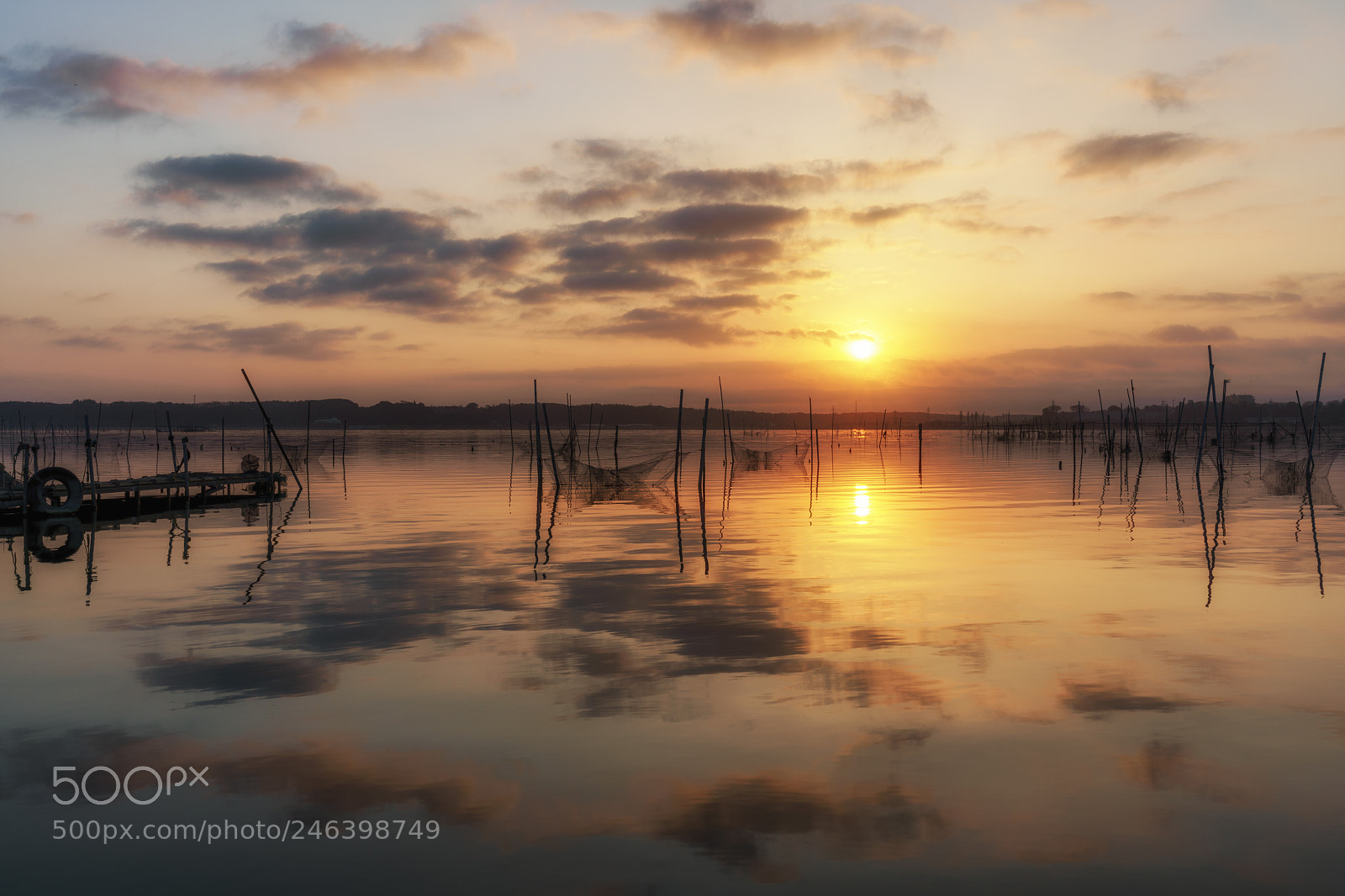 Sony a7R III sample photo. Sunny morning photography
