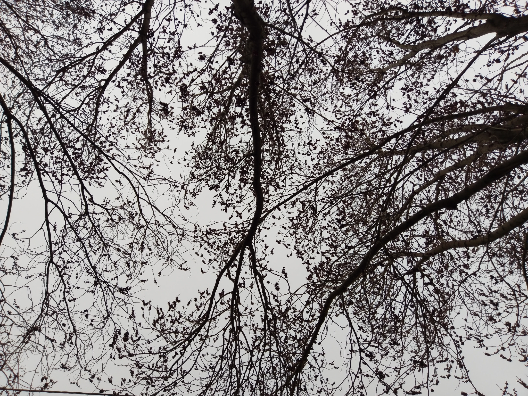 HTC U ULTRA sample photo. Interwoven photography