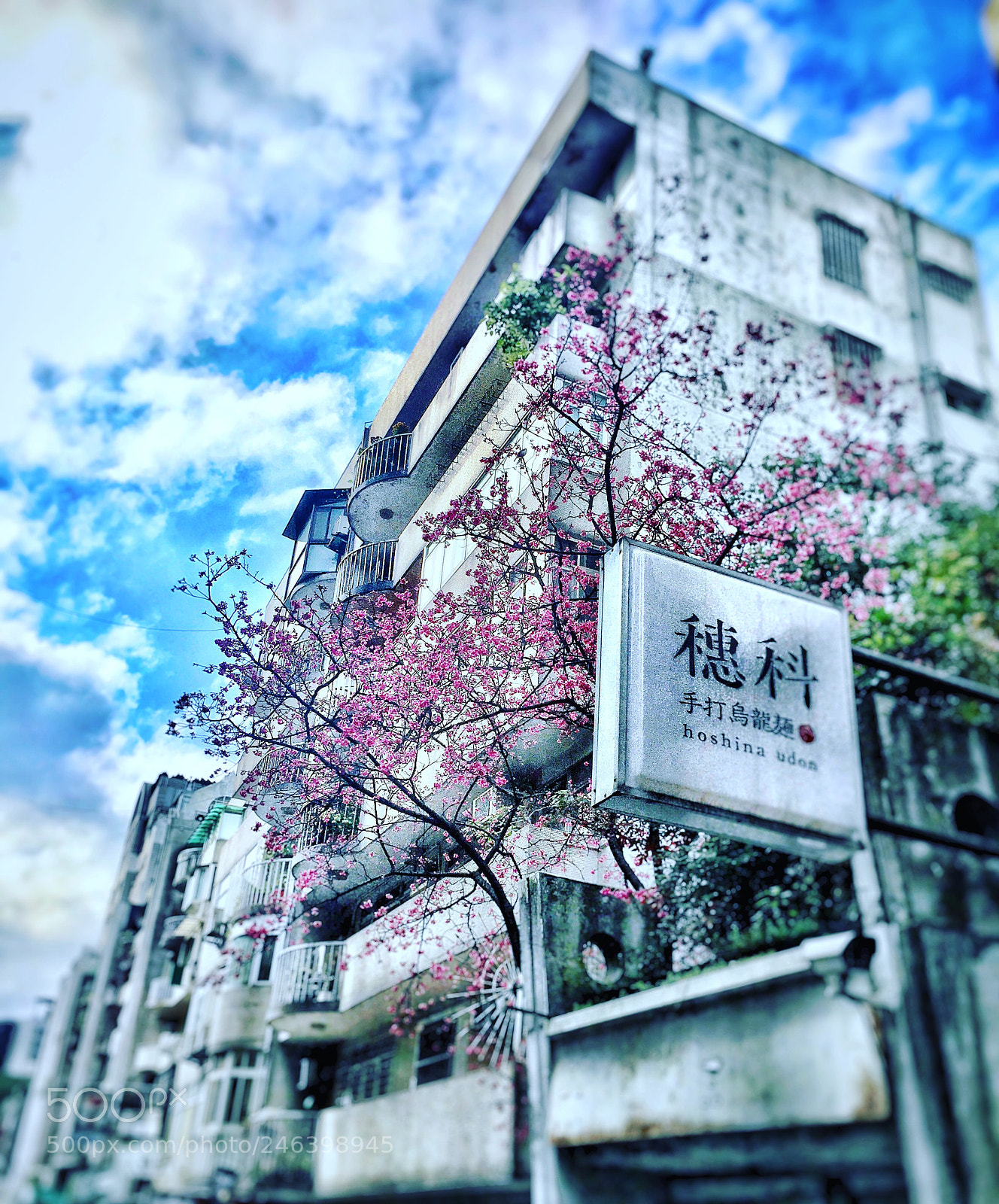 Apple iPhone 6s Plus sample photo. Taipei city photography