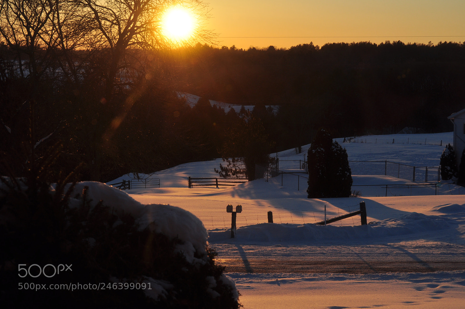 Nikon D5000 sample photo. Sunset in the country photography