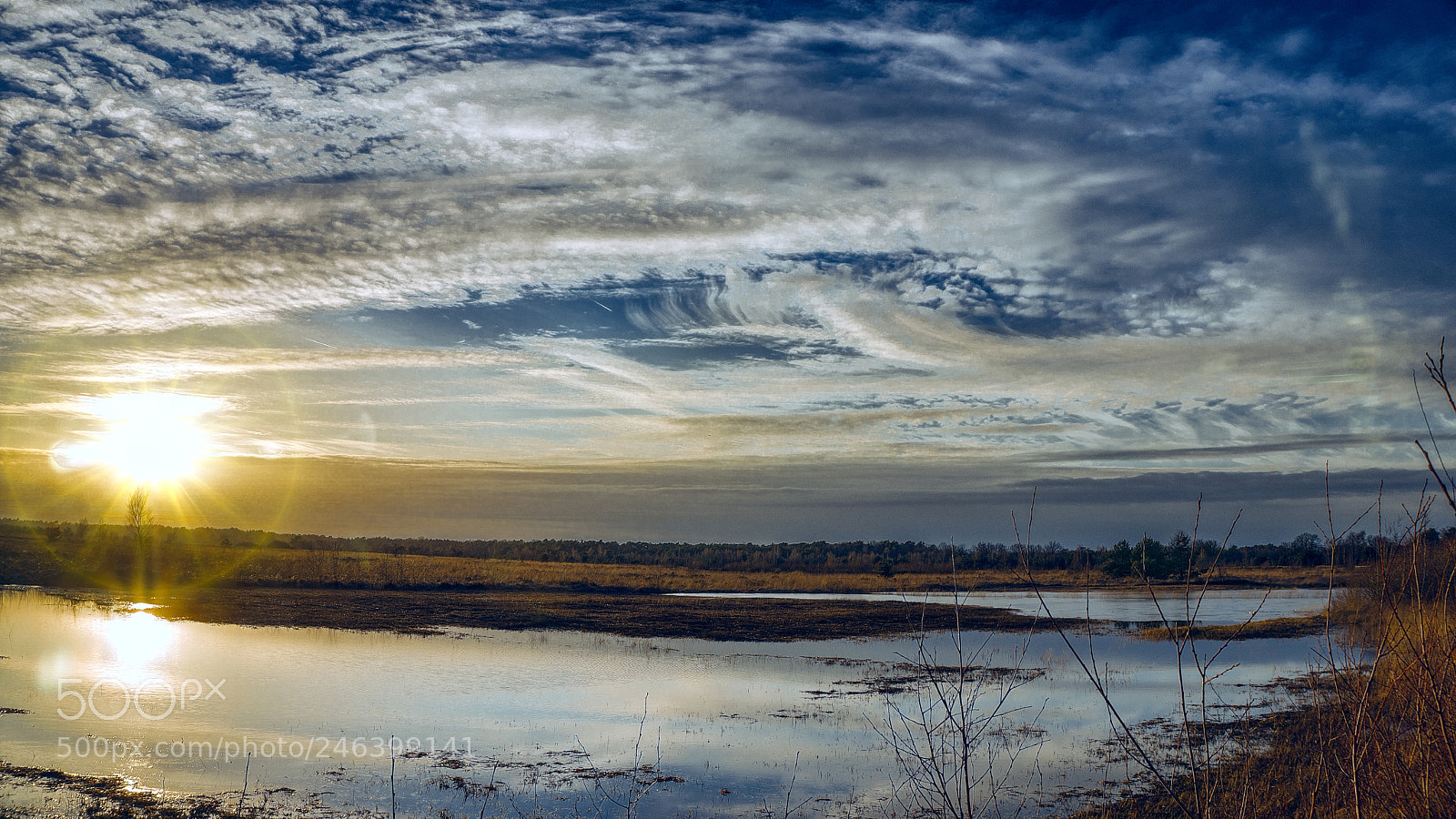 Sony a6300 sample photo. Winter sun photography