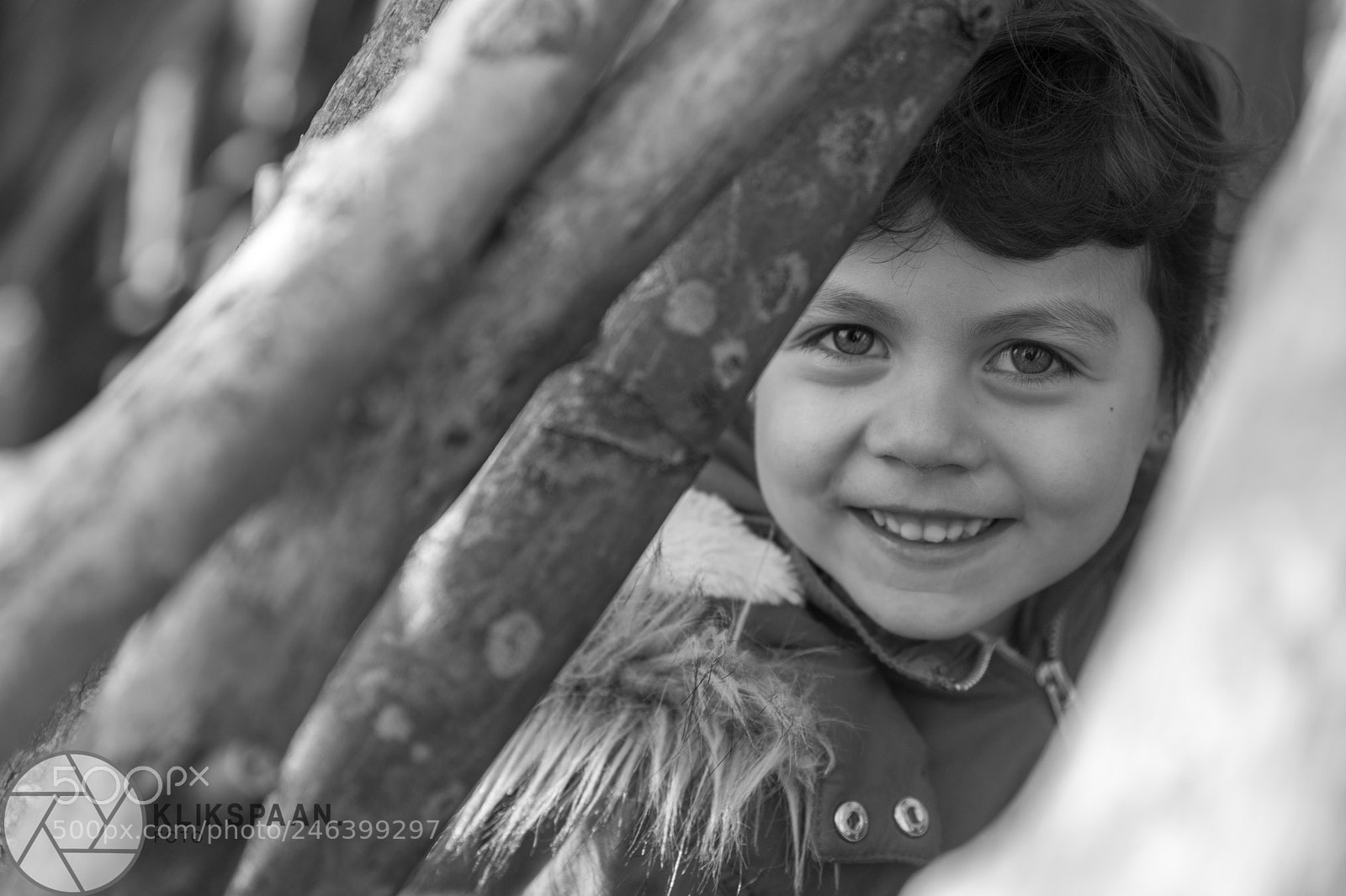 Canon EOS 6D Mark II sample photo. Untitled photography