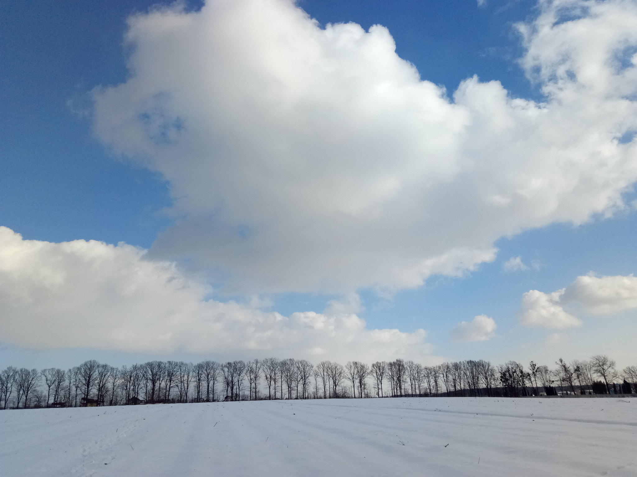 Meizu U20 sample photo