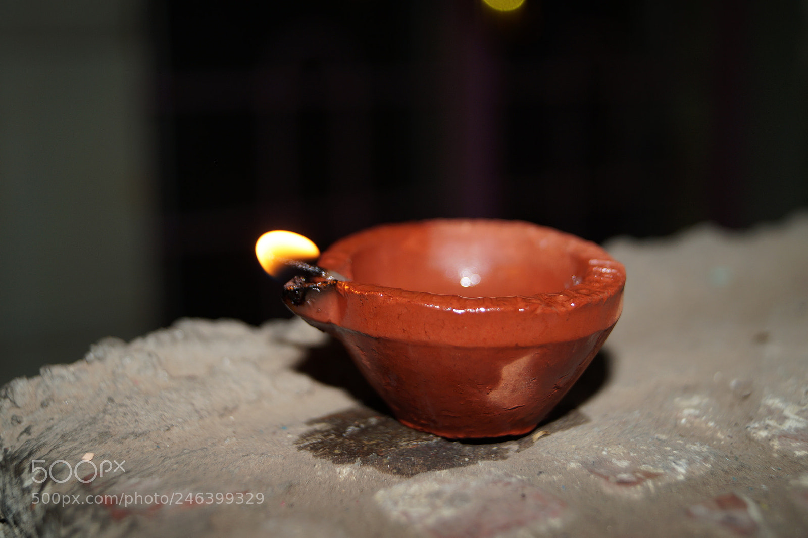 Sony SLT-A58 sample photo. Nature photography