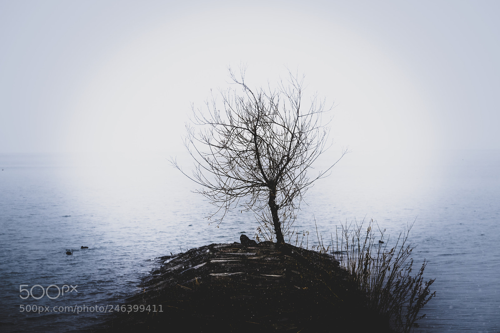 Fujifilm X-Pro2 sample photo. Cold lonesome winter photography