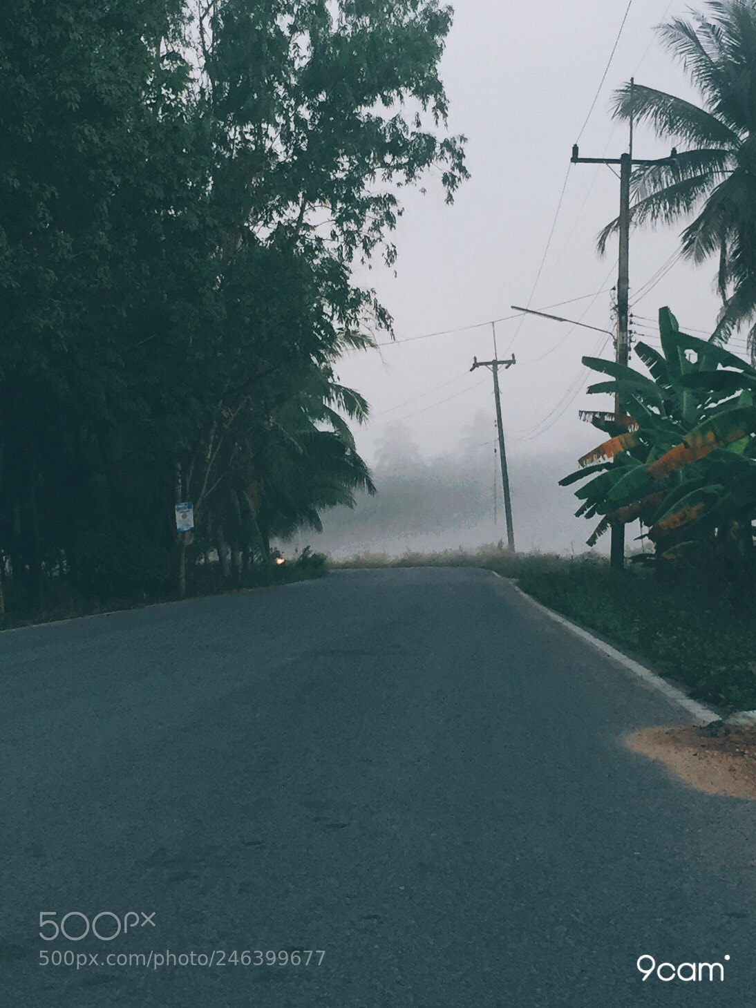 Apple iPhone 6 sample photo. Untitled photography