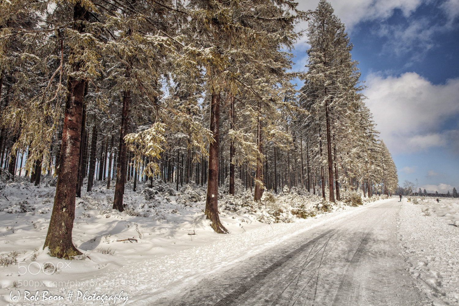 Canon EOS 5DS sample photo. Winter @ botrange 11 photography