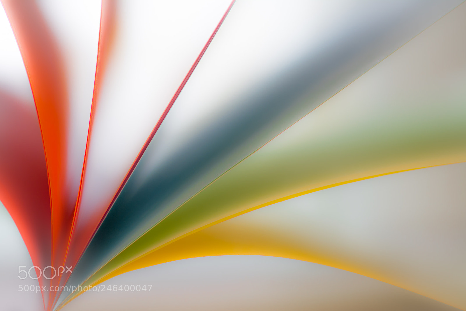 Nikon D7100 sample photo. Colorful photography