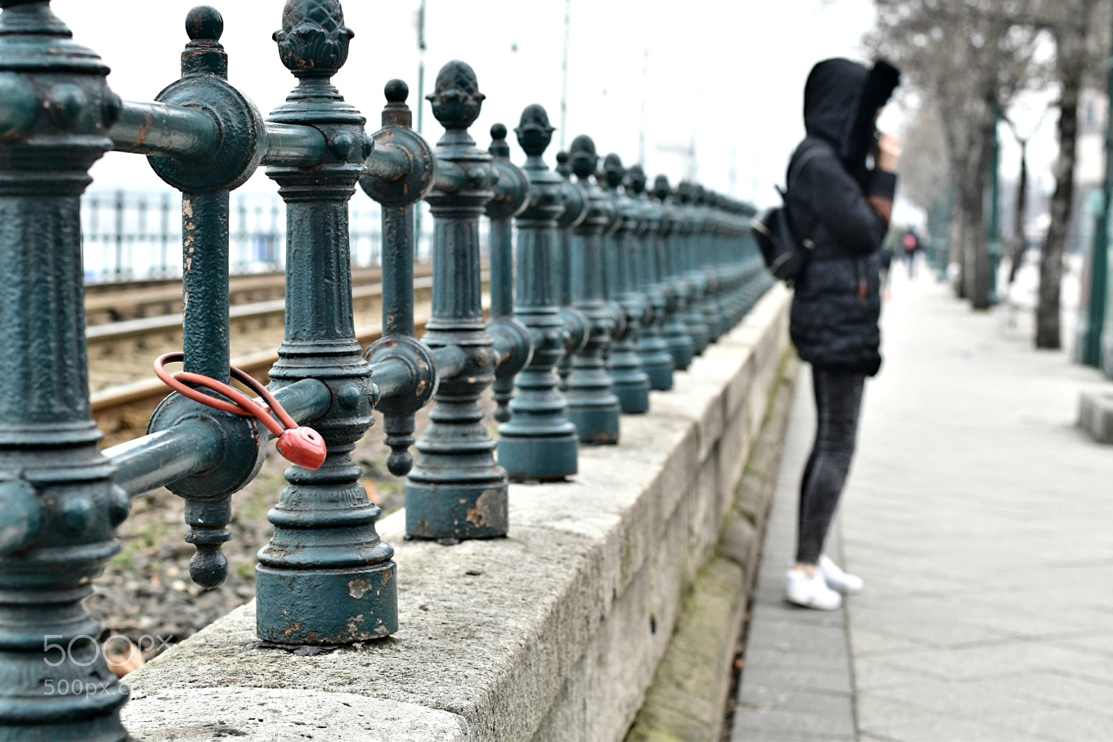 Nikon D5600 sample photo. Love photography