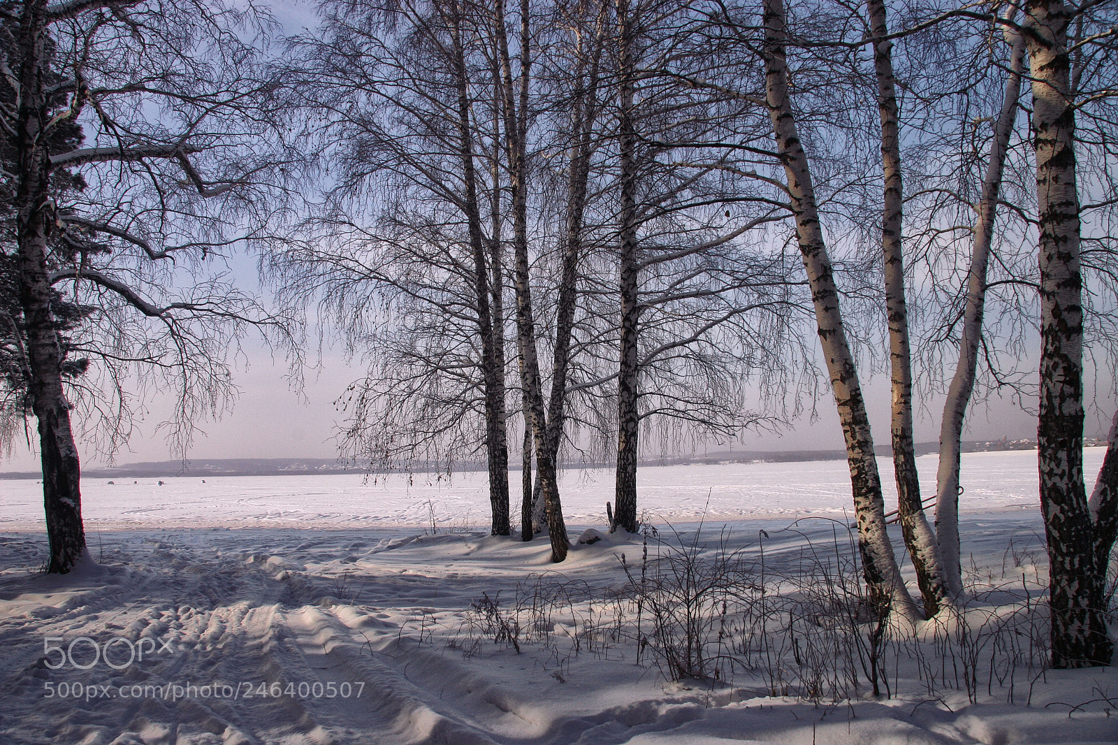 Canon EOS 20D sample photo. солнечная зима photography