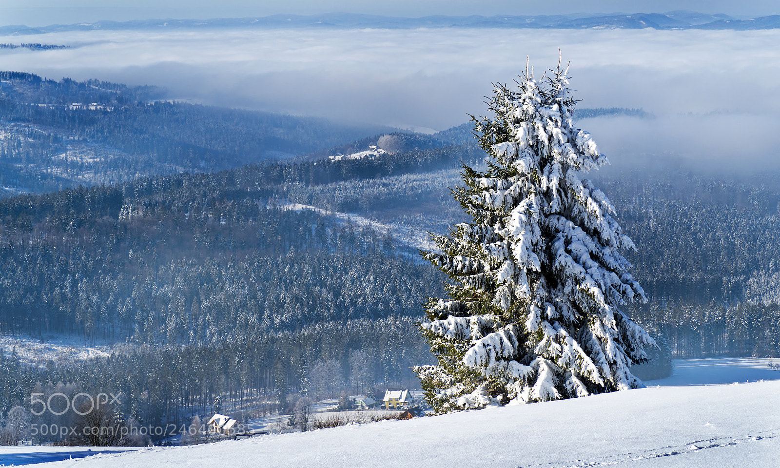 Olympus OM-D E-M10 sample photo. Beskids photography