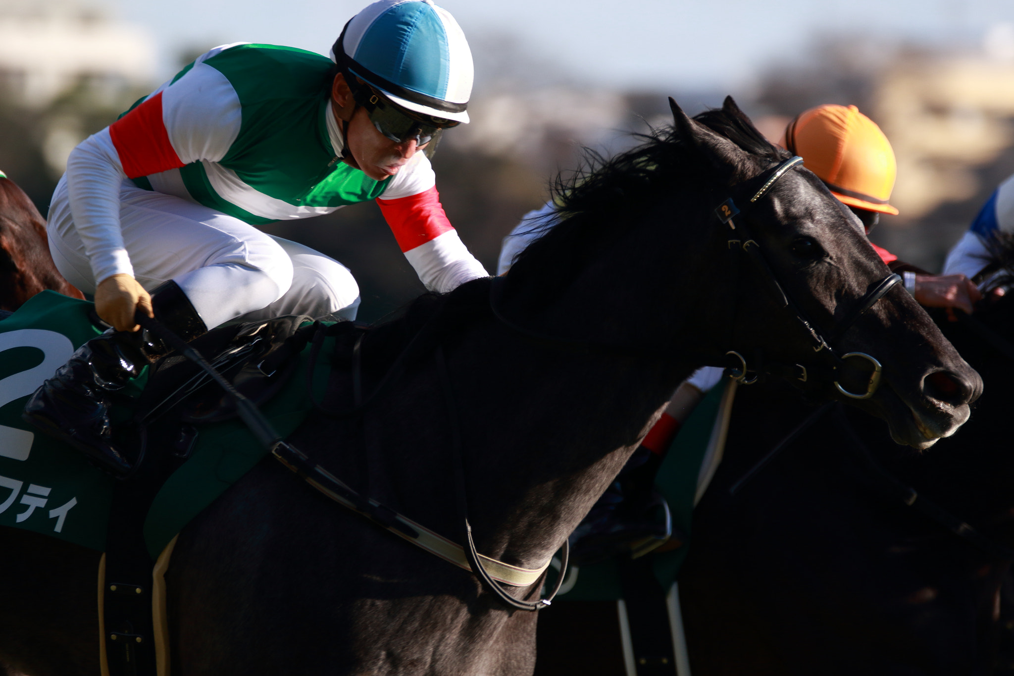 Sigma 150-600mm F5-6.3 DG OS HSM | C sample photo. Horse race photography