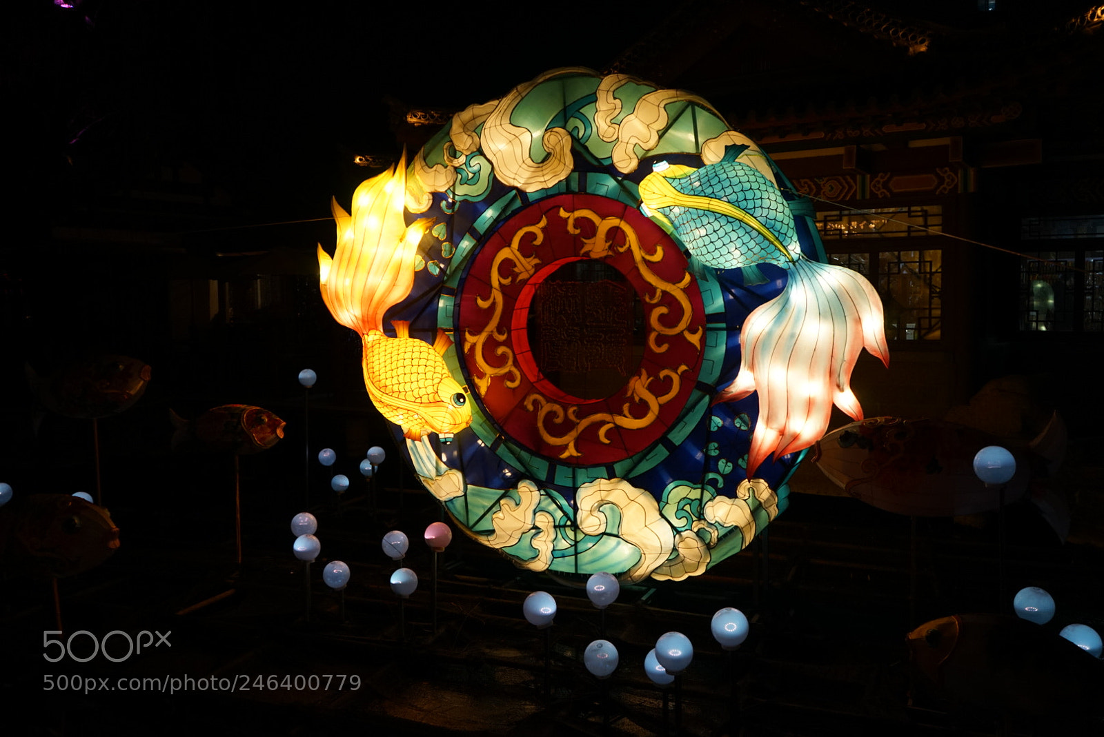 Sony a7 sample photo. 新年快乐? photography