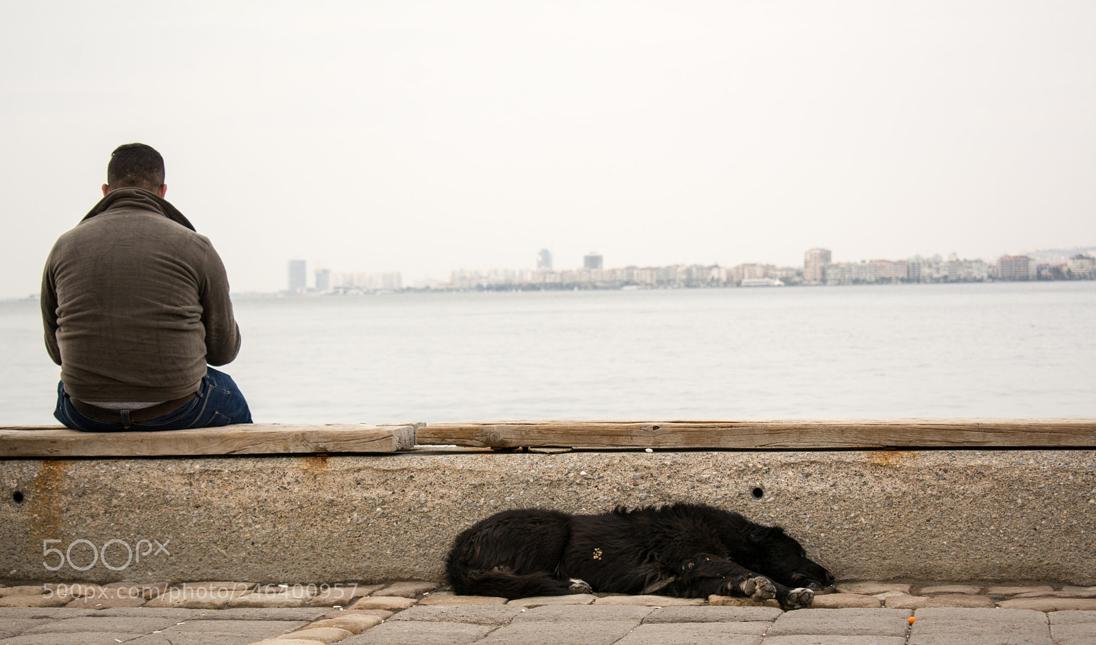 Nikon D7100 sample photo. Tired of thinking photography
