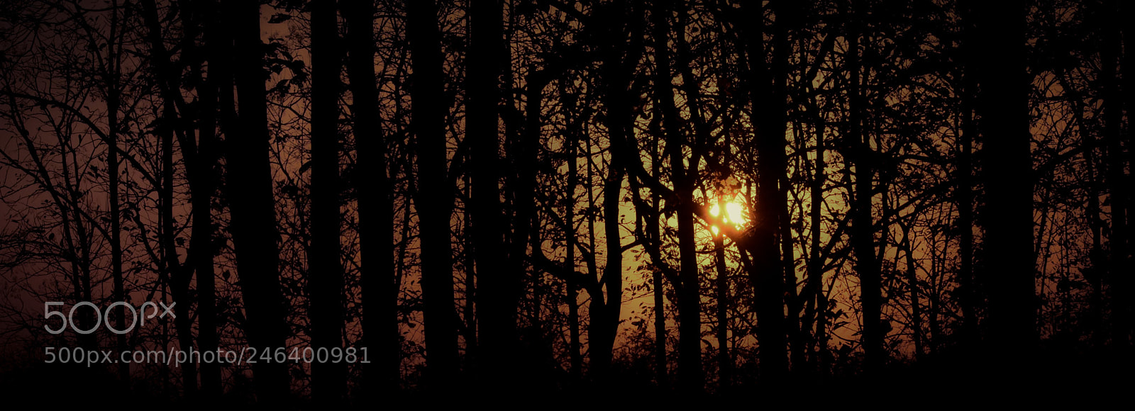 Nikon D3400 sample photo. Evening... photography