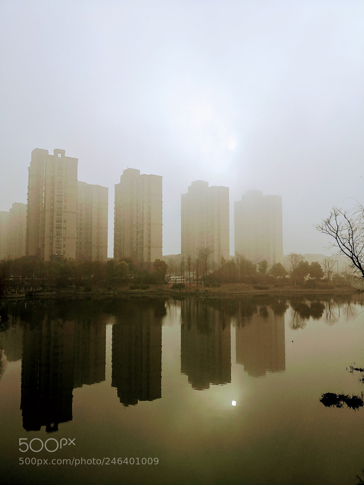 HUAWEI Mate 10 Pro sample photo. Untitled photography