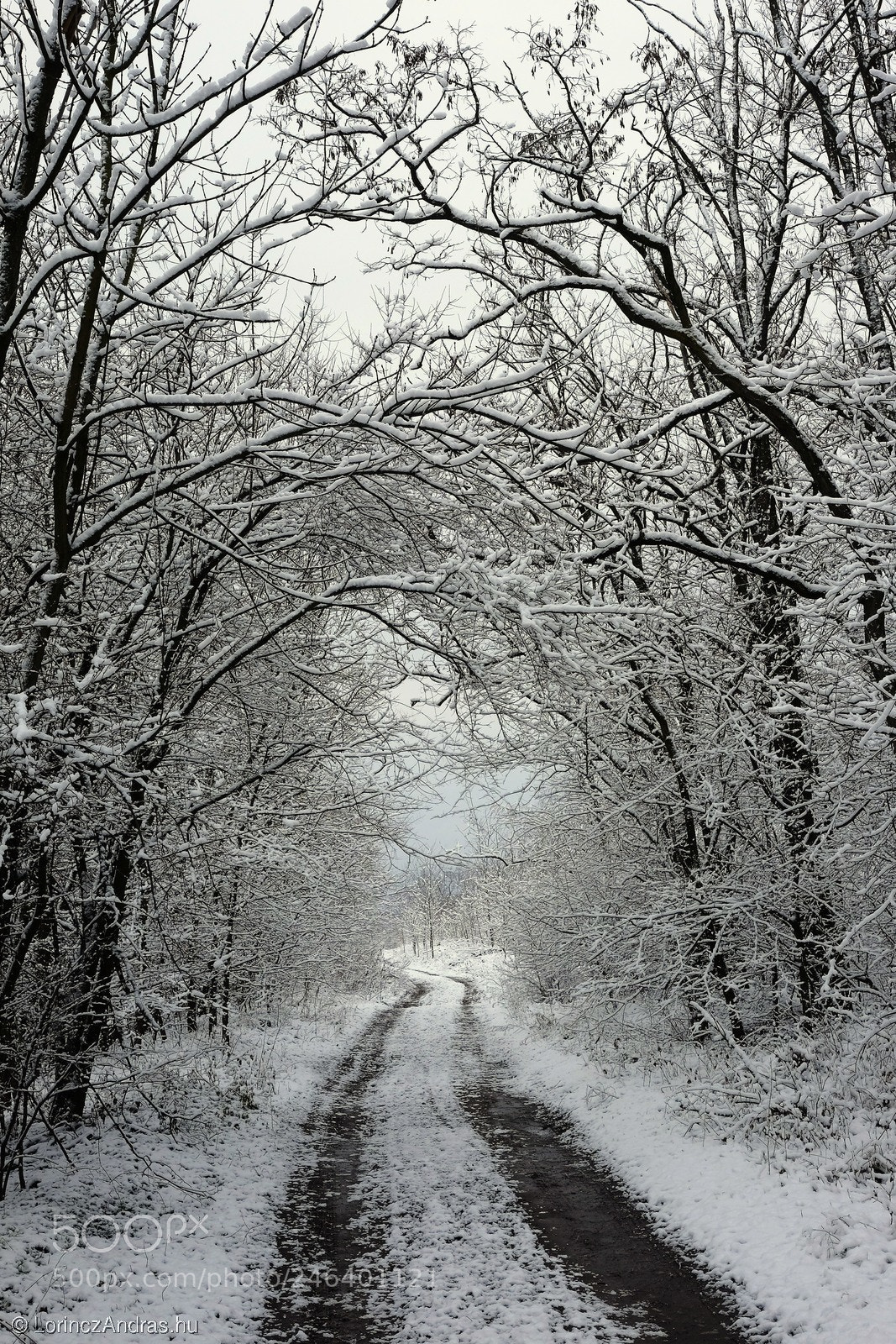 Fujifilm X-E2 sample photo. Winter path ii. photography