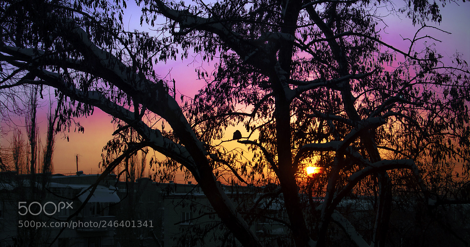 Pentax K-7 sample photo. рассвет photography