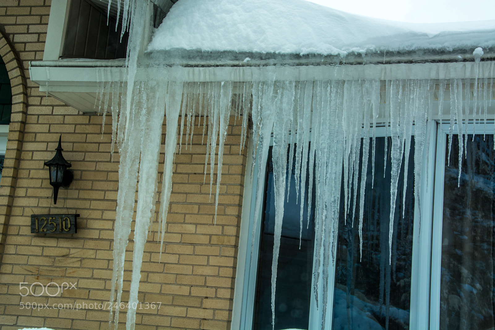 Nikon D5200 sample photo. Dsc winter 2018 photography