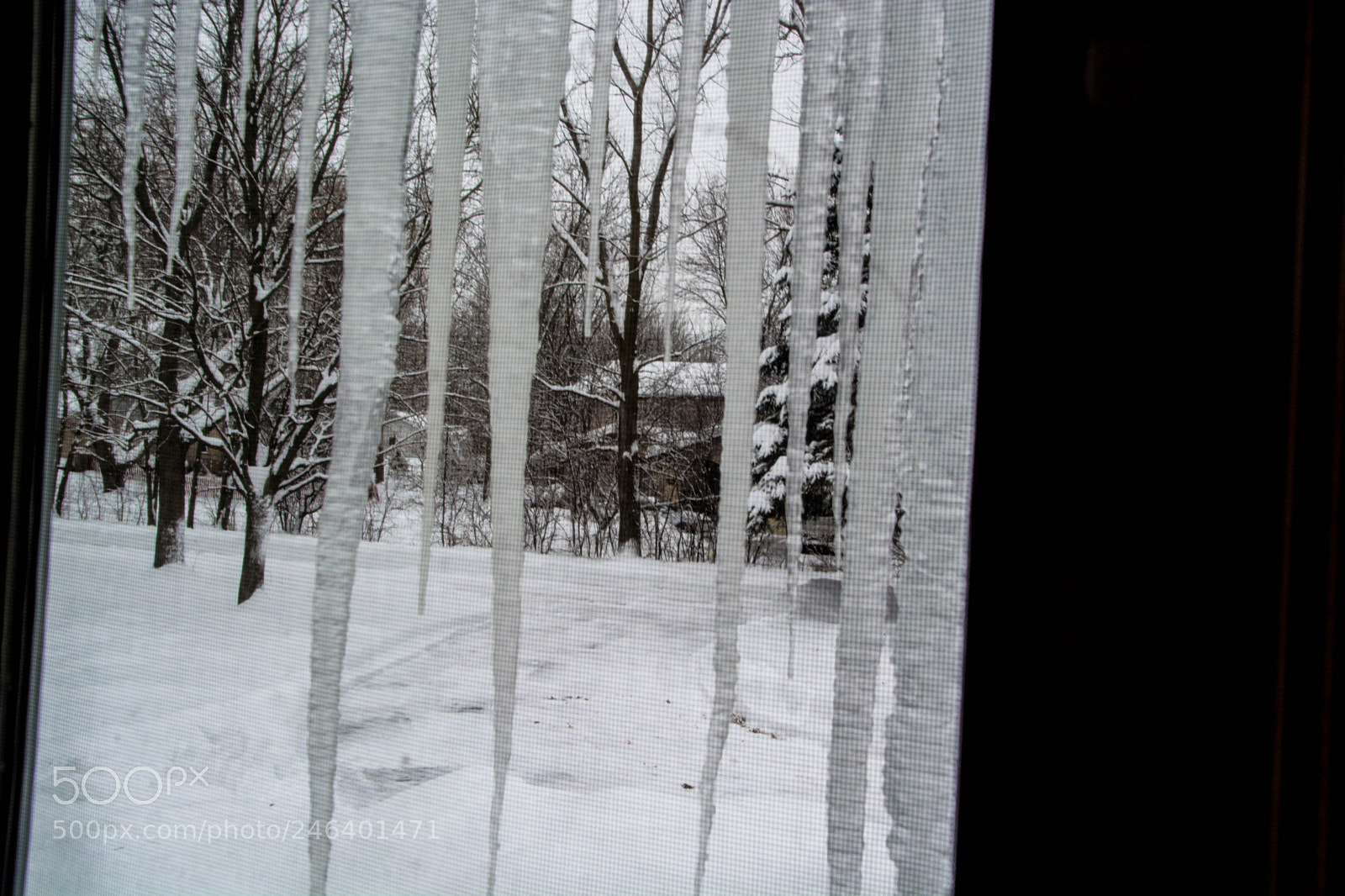 Nikon D5200 sample photo. Dsc winter 2018 photography