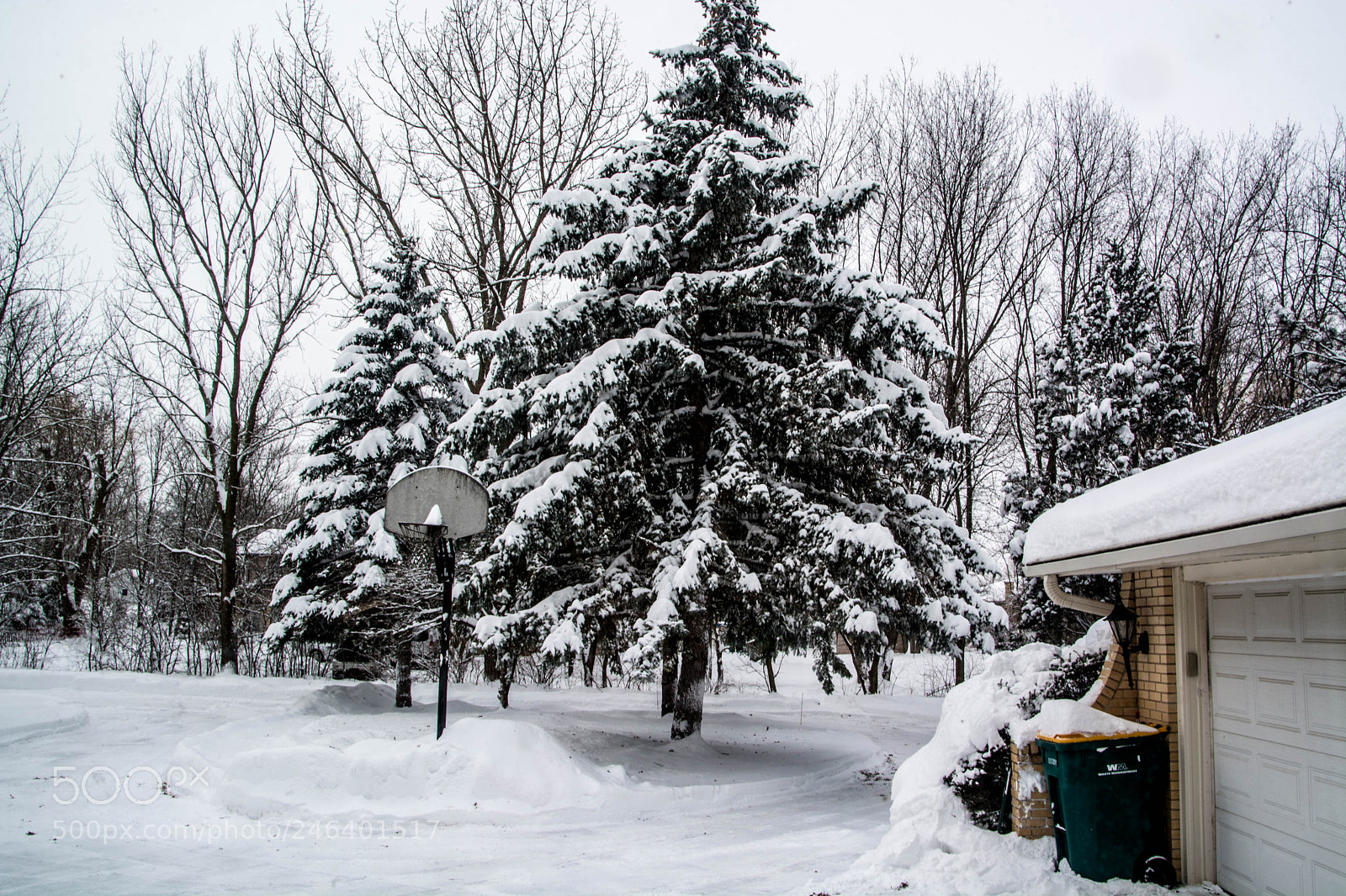 Nikon D5200 sample photo. Dsc winter 2018 photography