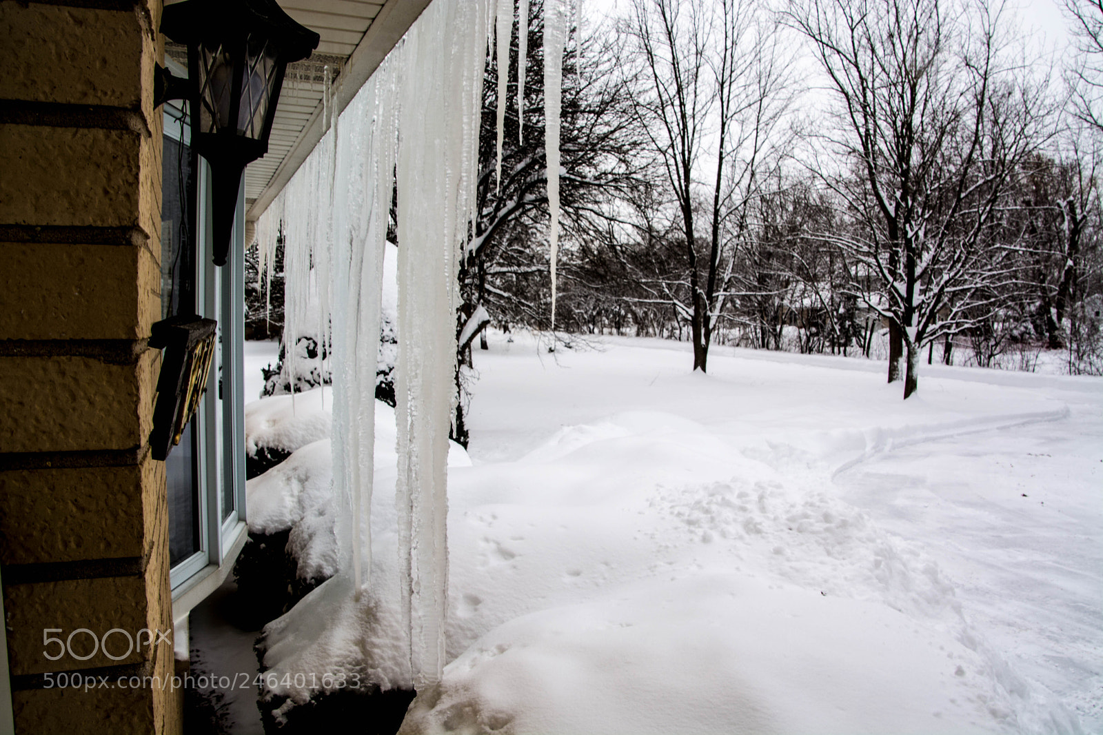 Nikon D5200 sample photo. Dsc winter 2018 photography