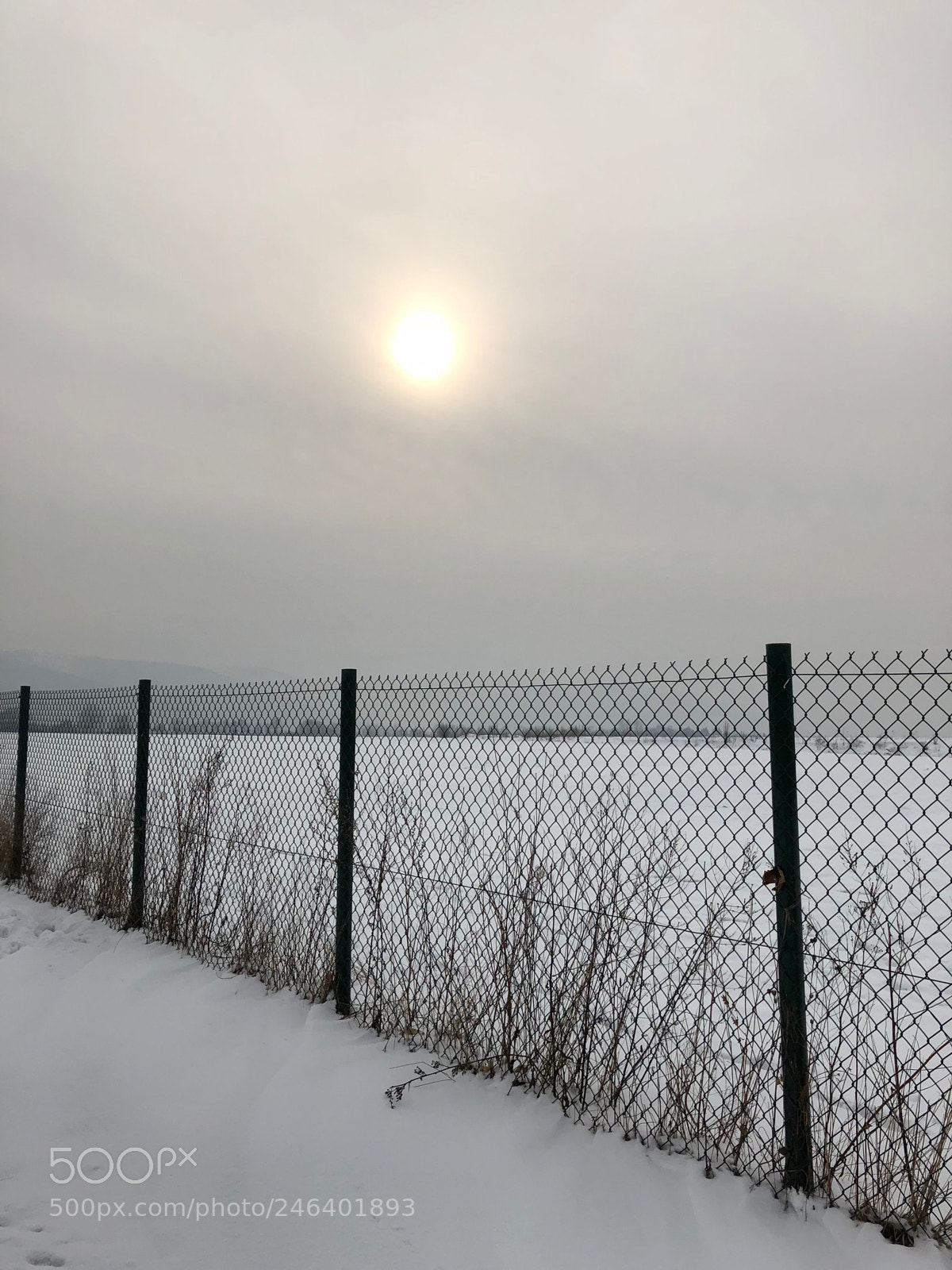 Apple iPhone X sample photo. 25. cold day photography