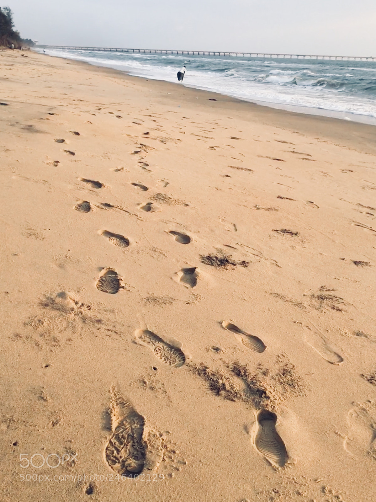 Apple iPad (5th generation) sample photo. Foot prints leads to photography