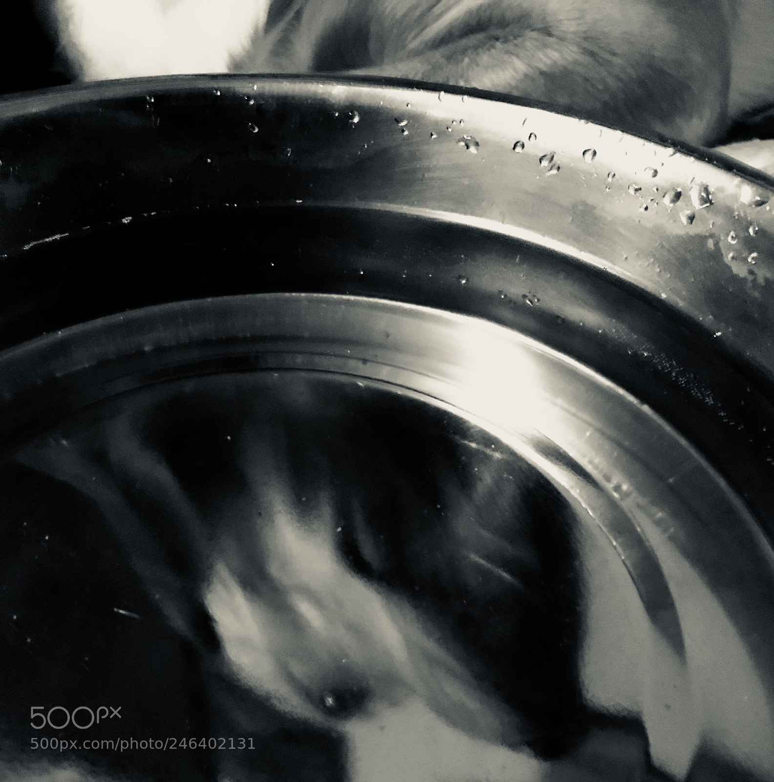 Apple iPhone 7 Plus sample photo. Reflections in a bowl photography