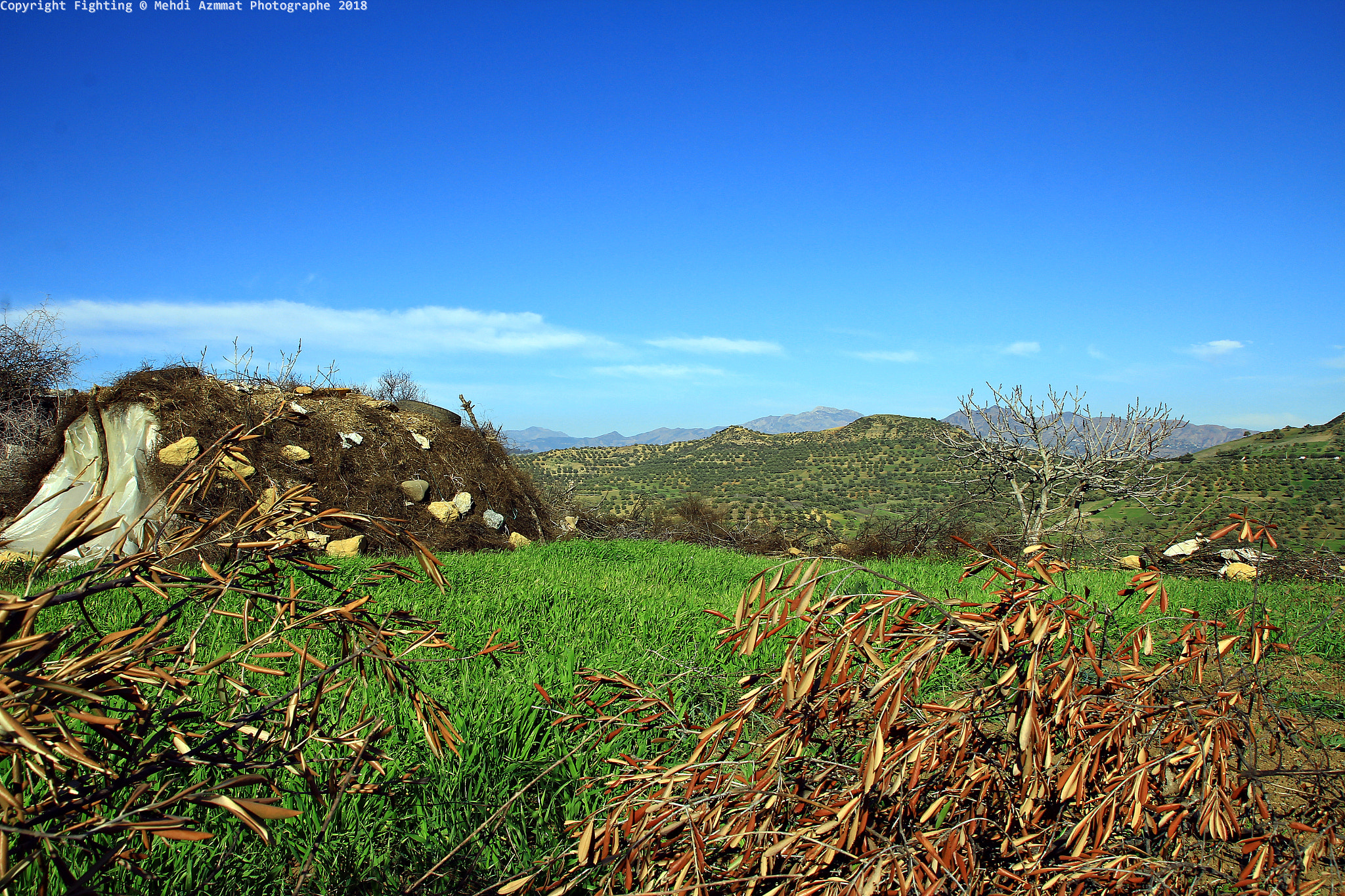 Canon EOS 60D sample photo. Nature photography