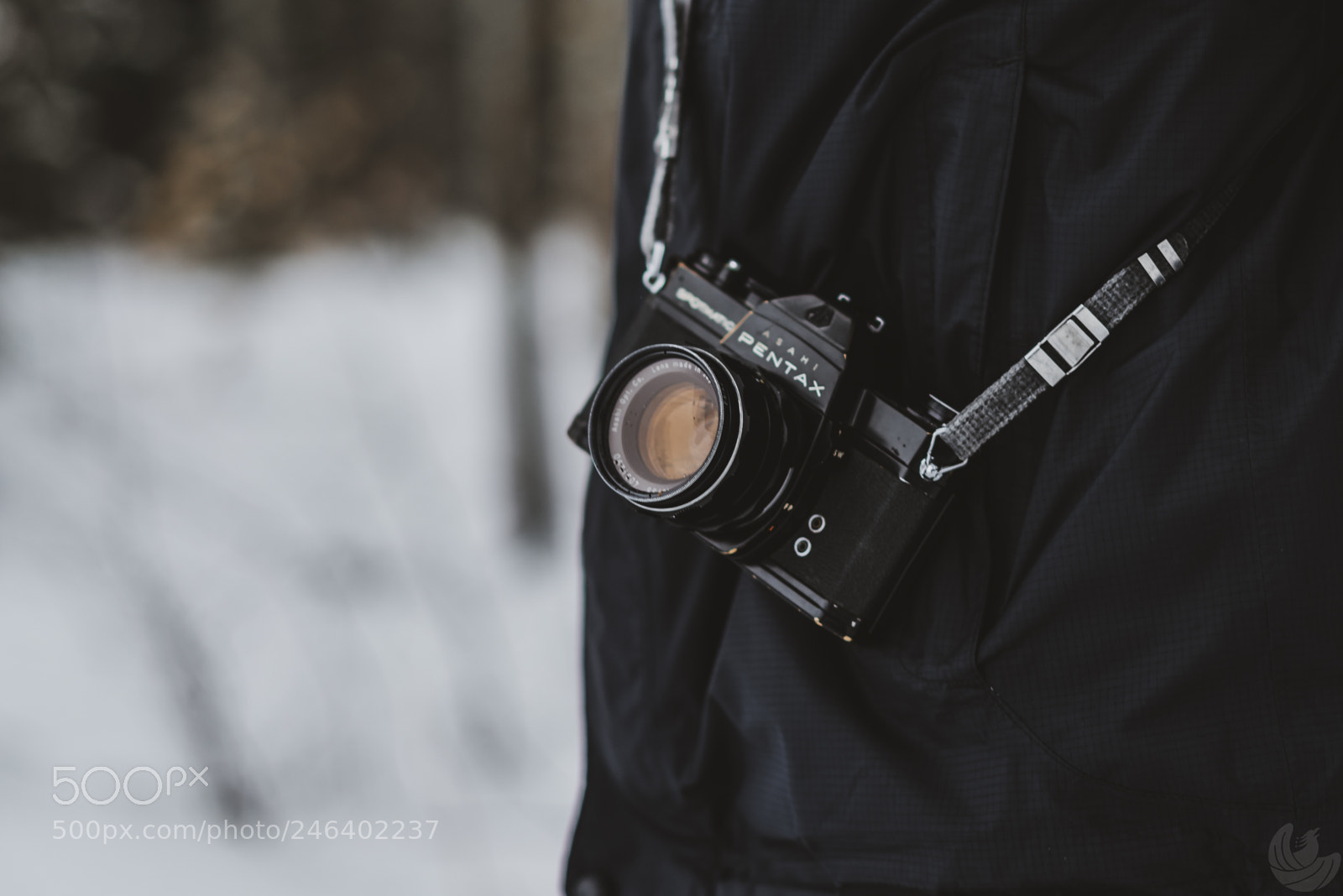 Sony a7R II sample photo. Film cameras abound photography