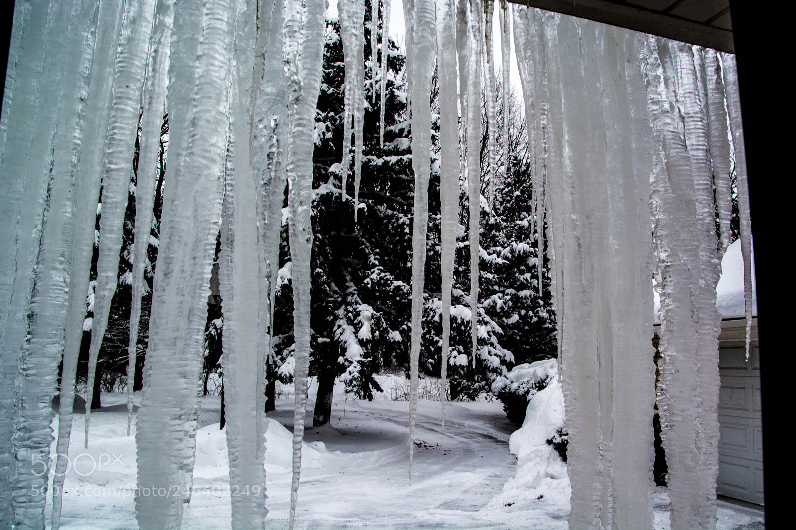 Nikon D5200 sample photo. Dsc winter february 2018 photography