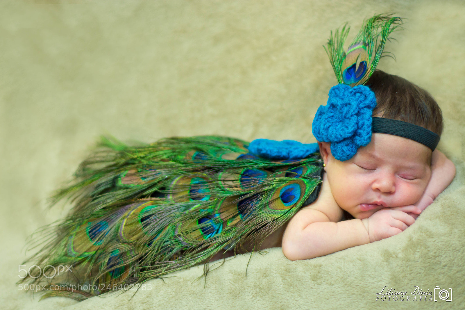 Nikon D7100 sample photo. 01.jpg photography