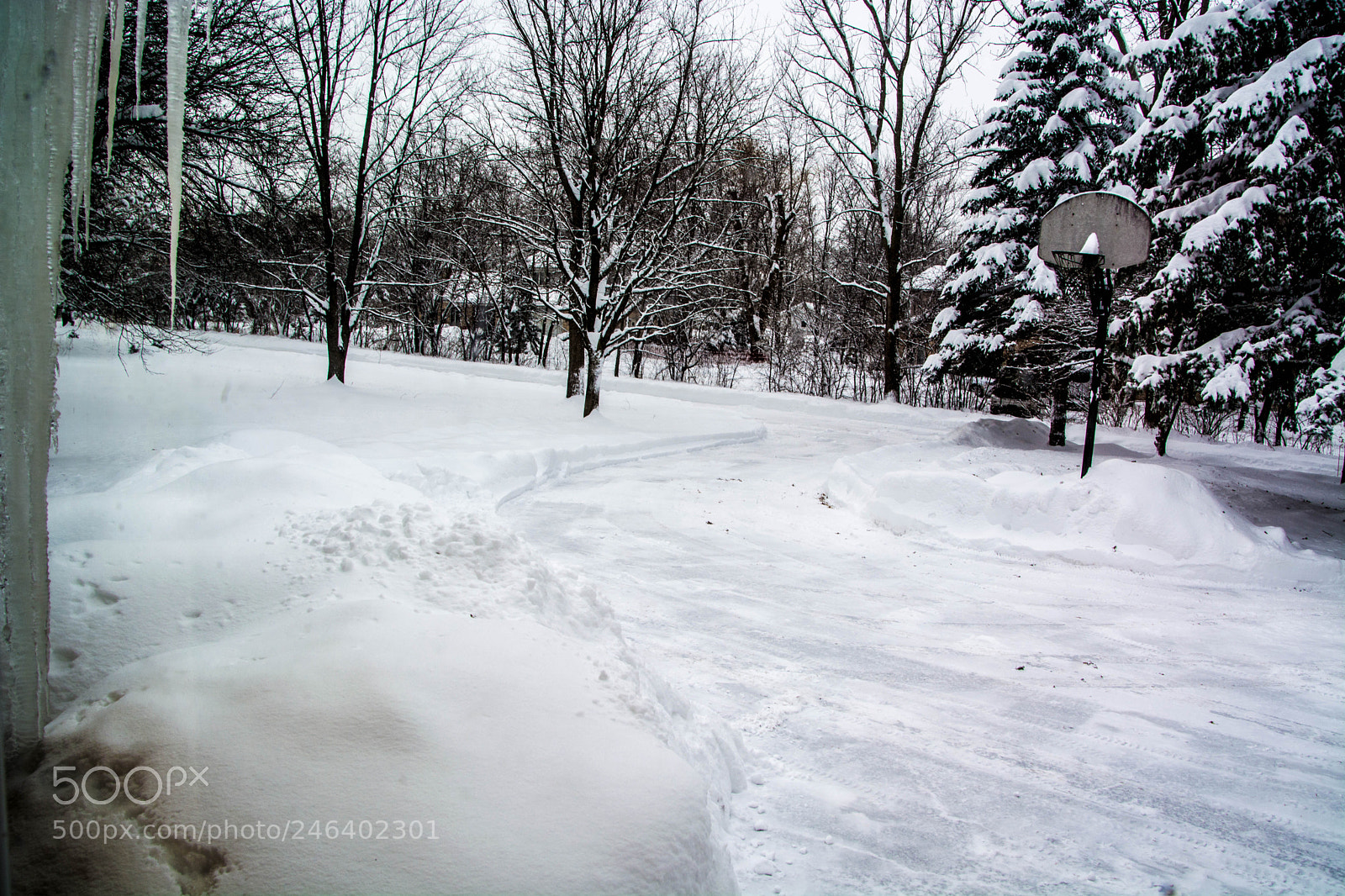 Nikon D5200 sample photo. Dsc winter february 2018 photography