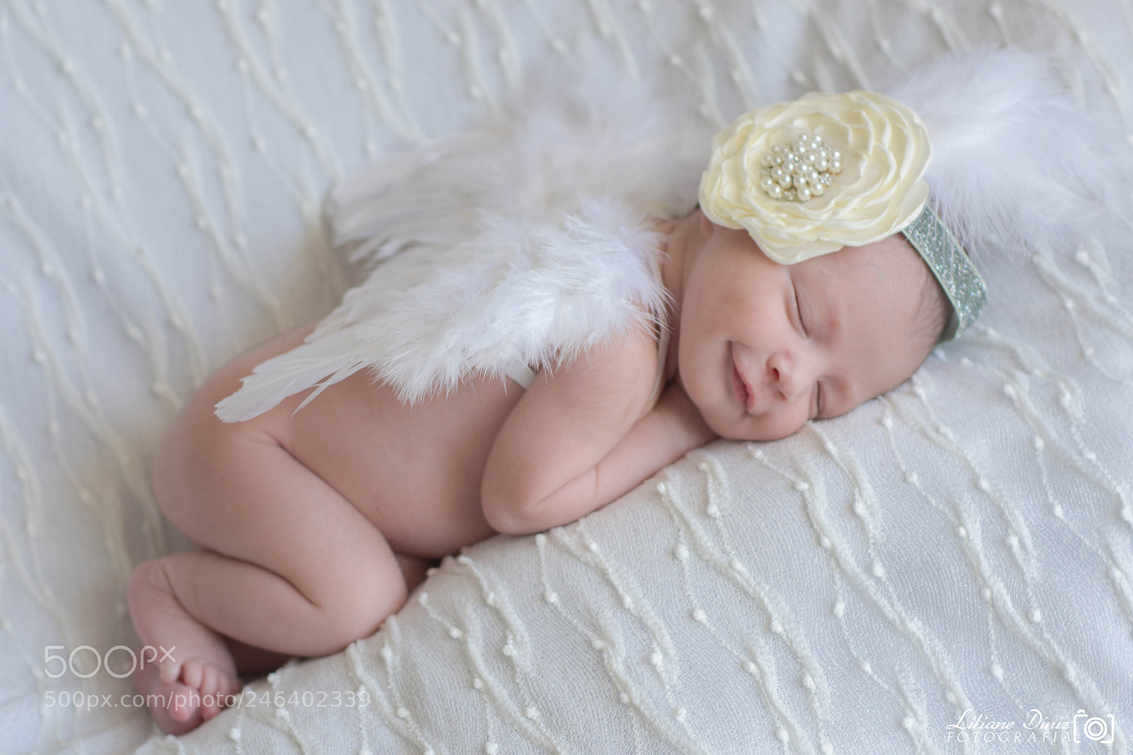 Nikon D7100 sample photo. 1.jpg photography